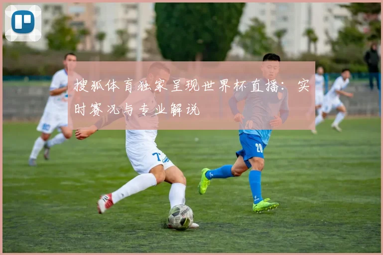 搜狐体育独家呈现世界杯直播：实时赛况与专业解说
