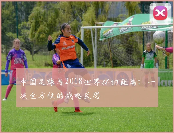 中国足球与2018世界杯的距离:一次全方位的战略反思