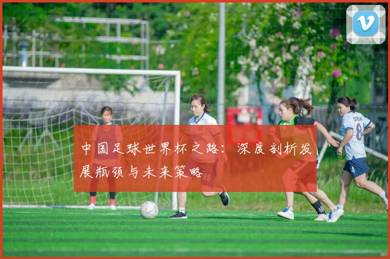 中国足球世界杯之路:深度剖析发展瓶颈与未来策略