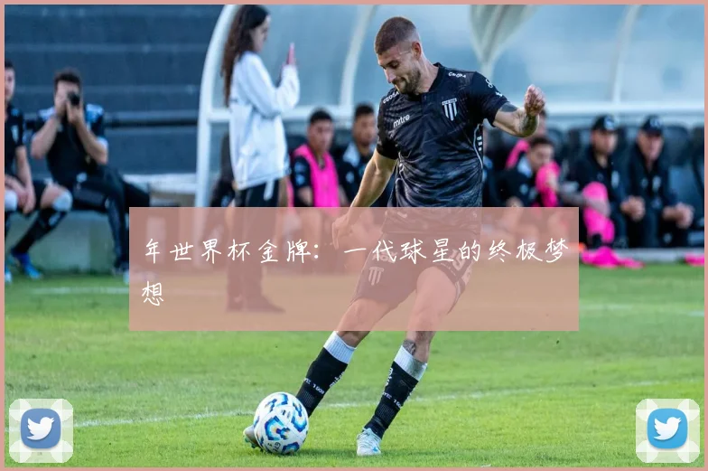 年世界杯金牌：一代球星的终极梦想