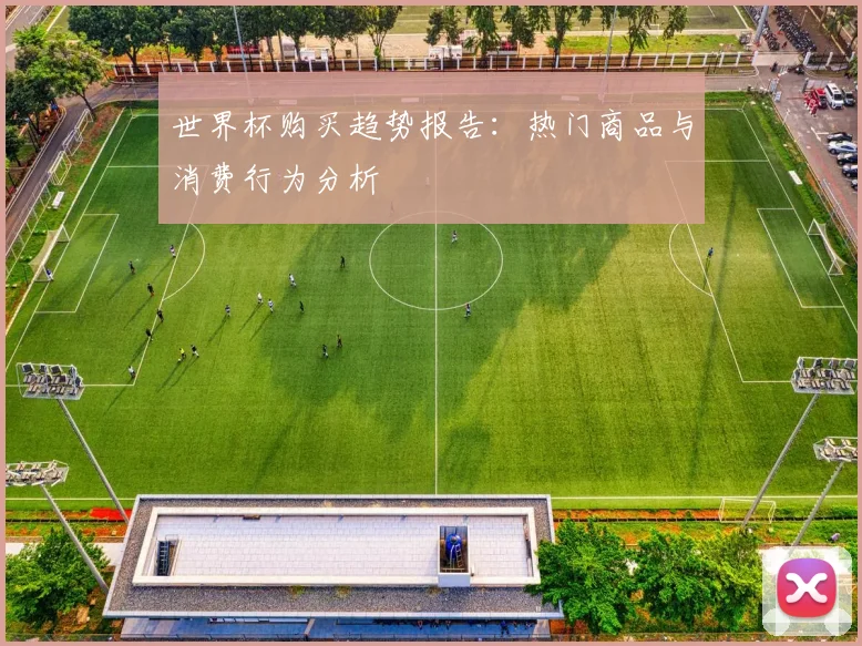 世界杯购买趋势报告:热门商品与消费行为分析
