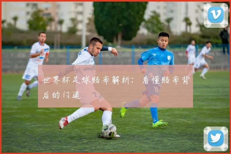 世界杯足球赔率解析：看懂赔率背后的门道